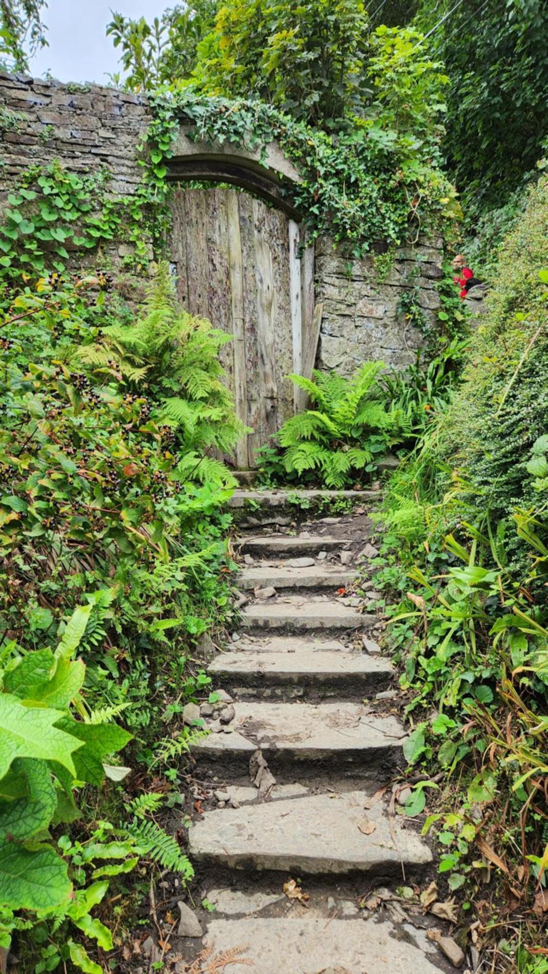18 Bucklands - Cosy 5-star - Starlink Wi-fi - Coastal Woodland Apartment *
